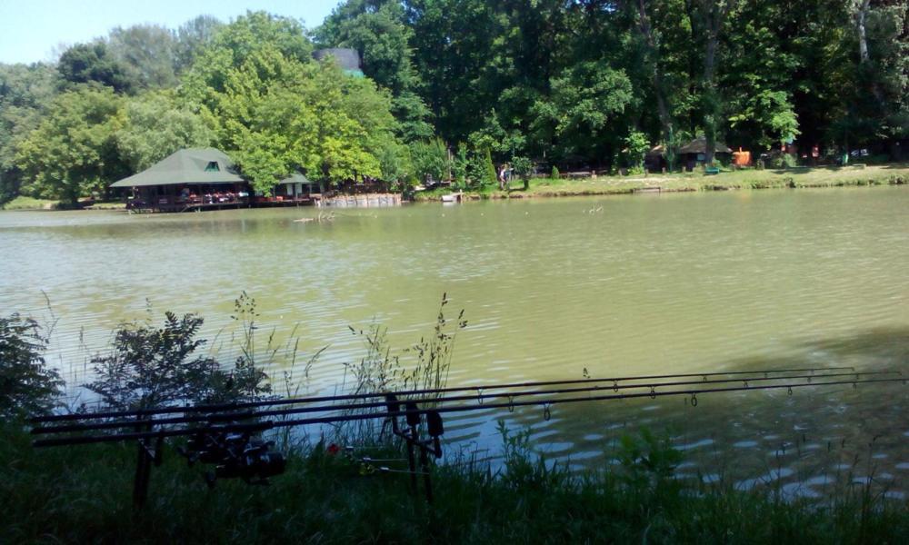 Monia Dream Apartment - Belgrade Lake & Fair Экстерьер фото